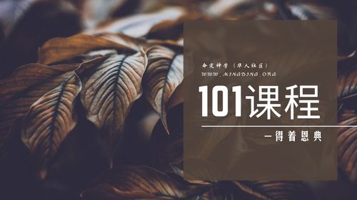 【课程】101课程（第2版）– 第8课 – 属灵高峰之上是神的殿