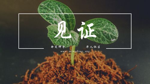 【见证】- 脱离过往的咒诅，进入蒙福人生！（20210801）