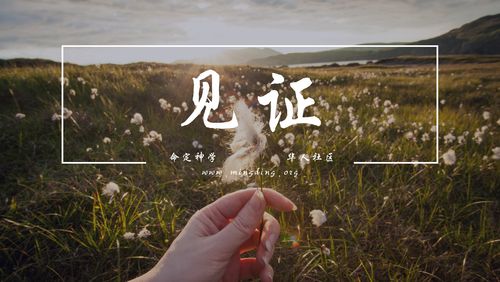 【本周见证集】 （20210808）