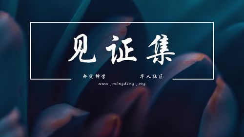 【见证集】2021-08-15