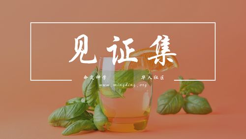 【见证集】2021-08-22