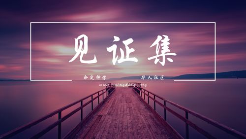 【见证集】2021-08-29