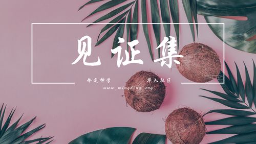 【见证集】2021-09-05