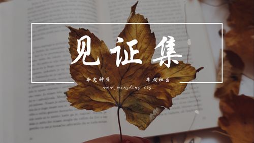 【见证集】2021-09-19