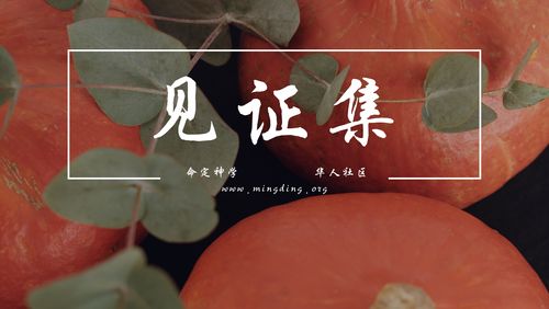 【见证集】2021-09-26