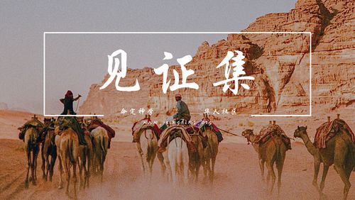 【见证集】2021-10-03