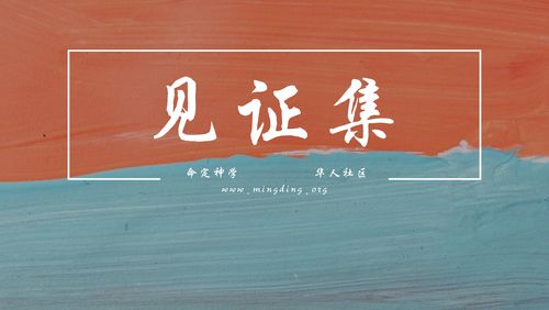 【见证集】2021-10-31