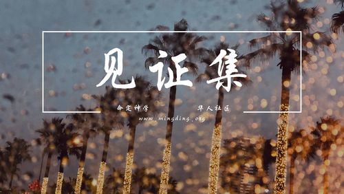 【见证集】2021-11-07