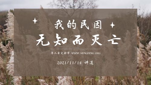 【讲道】- 我的民因无知而灭亡！