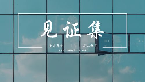 【见证集】2021-11-14