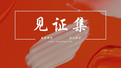 【见证集】2021-11-21