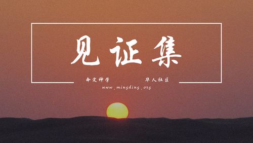 【见证集】2021-11-28