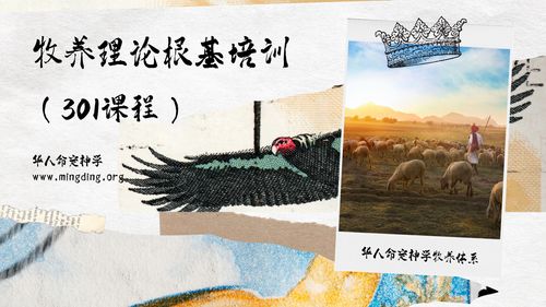 牧养理论根基培训（301课程）- 第一课：什么是牧养