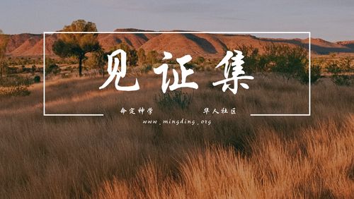 【见证集】2021-12-05