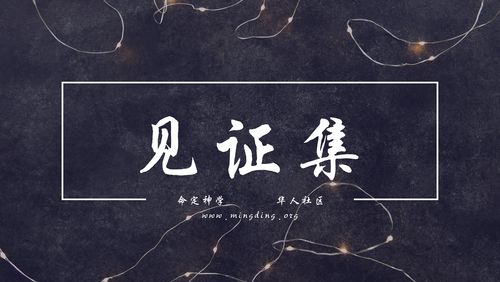 【见证集】2022-01-02