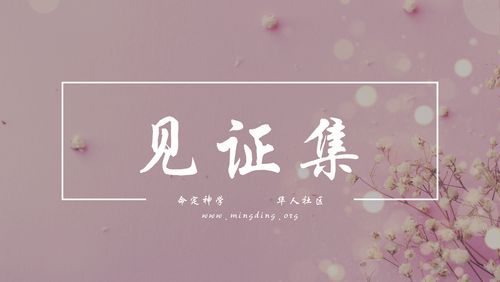 【见证集】2022-02-06