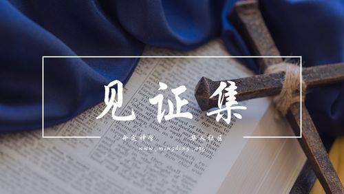 【20220306】- 见证集