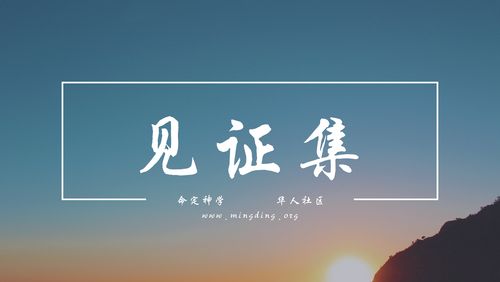 【20220313】- 见证集