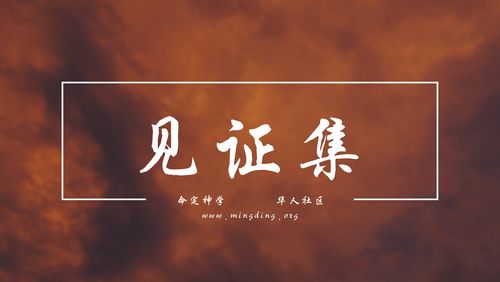 【20220327】- 见证集