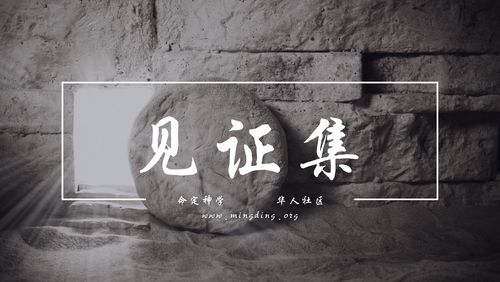 【20220403】- 见证集