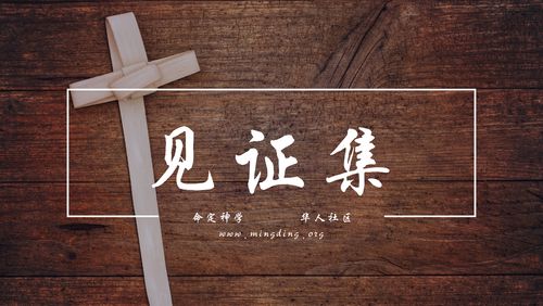 【20220410】见证集