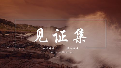 【20220501】见证集