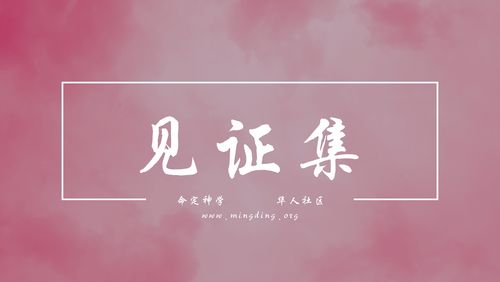 【20220424】见证集