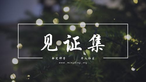 【20220515】见证集