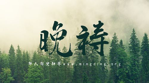 【线上祷告】主题：放下自己！