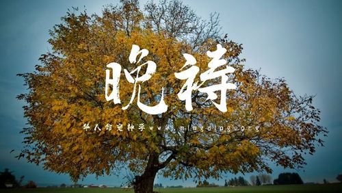 【线上祷告】主题：认识神的知识如同海水填满海洋！