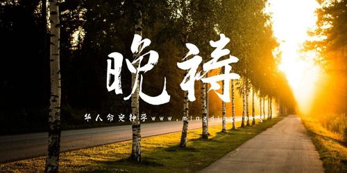 【线上祷告】主题：你的信救了你！