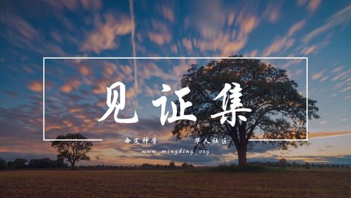 【见证集】- 20220717