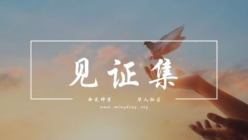 【见证集】- 20220731