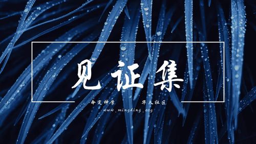 【见证集】- 20220814