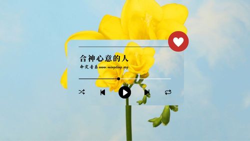 【命定音乐】第79首 -《合神心意的人》