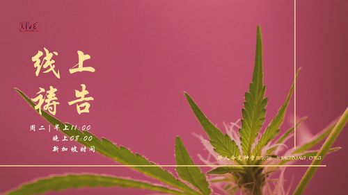 【线上祷告】 - 从愚蠢里出来，做聪明人！
