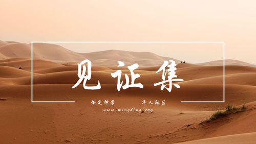 【见证集】- 20220911