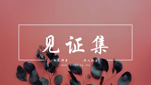 【见证集】- 20221009