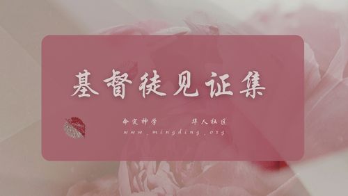 【见证集】- 20221016