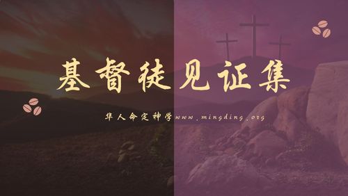 【见证集】- 20221106