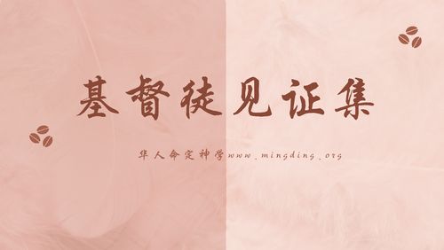 【见证集】- 20221113