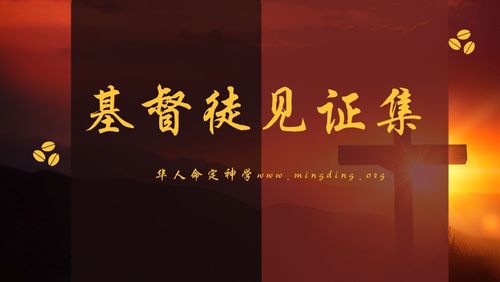 【见证集】- 20221127