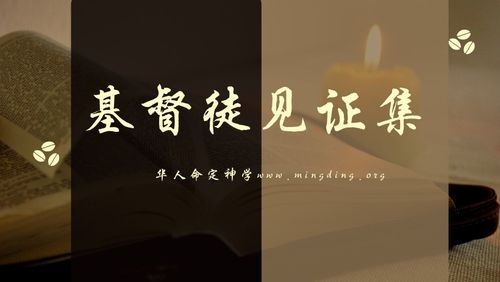 【见证集】- 20221204