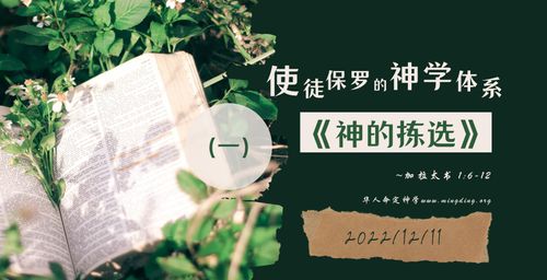 【讲道】- 使徒保罗的神学体系（1）- 神的拣选！