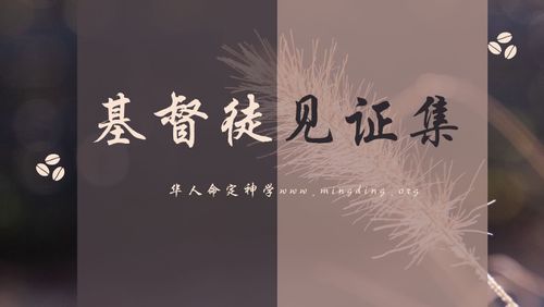 【见证集】- 20221218