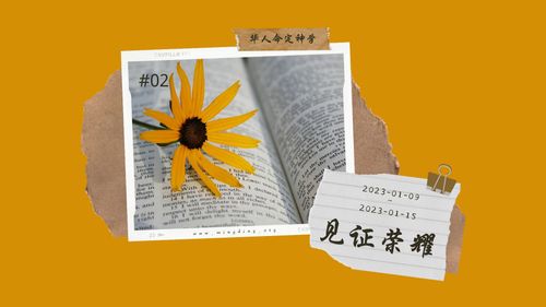 【见证集】- 20230115