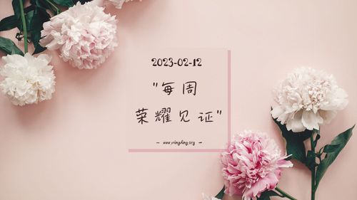 【见证集】- 20230212