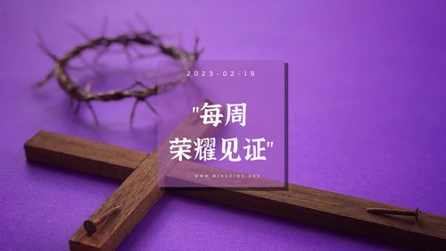 【见证集】- 20230219