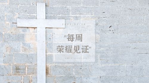 【见证集】- 20230226