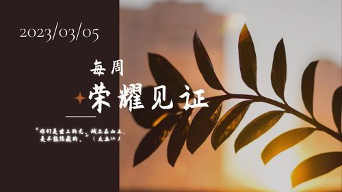 【见证集】- 20230305